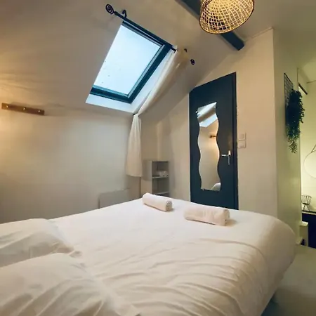Joli Duplex - Centre Ville - Amazonie Angers Exterior photo
