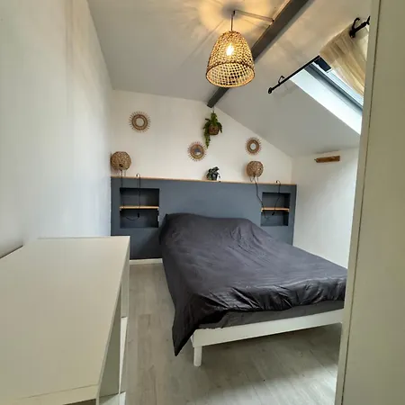 Joli Duplex - Centre Ville - Amazonie Angers Exterior photo