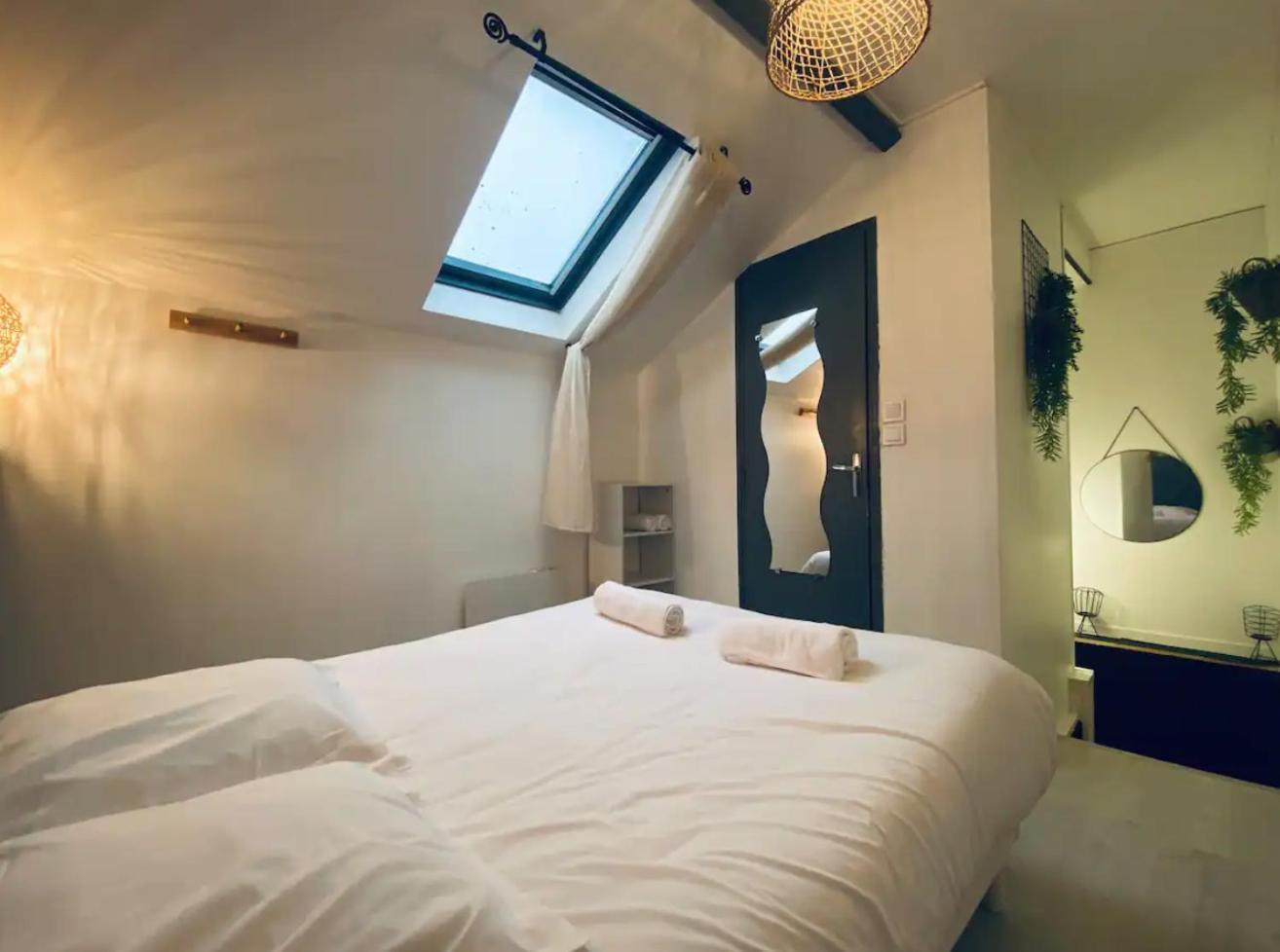Joli Duplex - Centre - Amazonie Apartment Angers