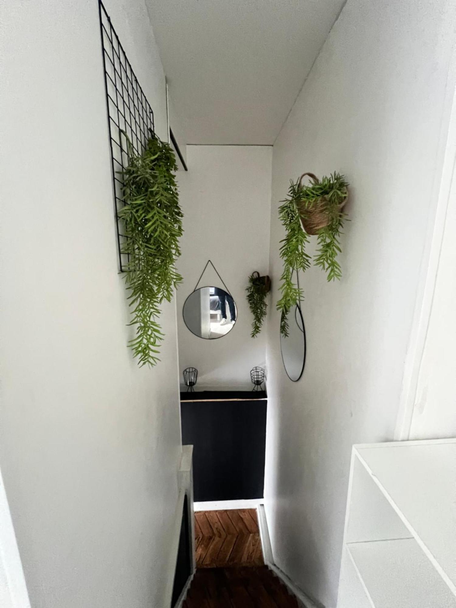 Joli Duplex - Centre - Amazonie Apartment Angers